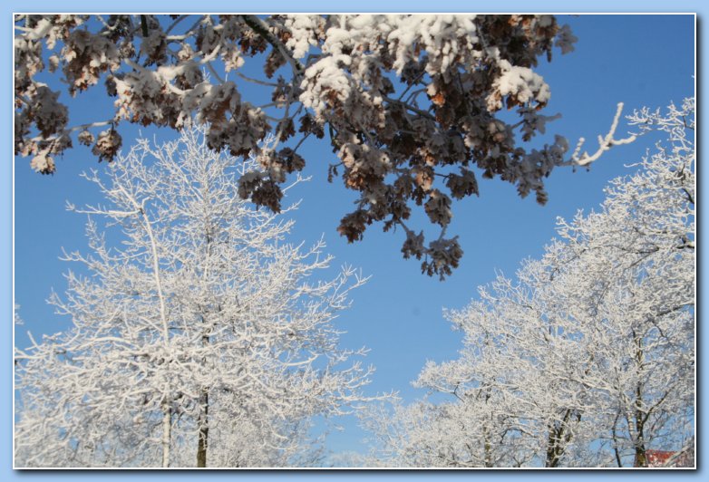 Arnhem Snow 175